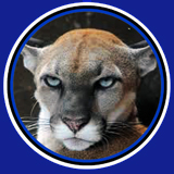 Lion of Doubt